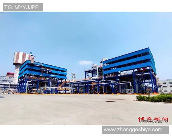 深圳羽毛球队全面革新策略实现整体压制提升竞技水平的深度分析