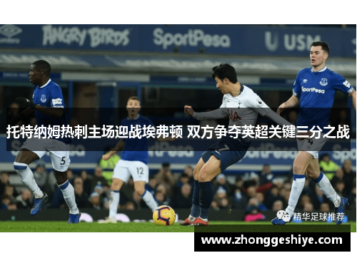 托特纳姆热刺主场迎战埃弗顿 双方争夺英超关键三分之战