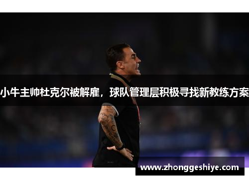小牛主帅杜克尔被解雇，球队管理层积极寻找新教练方案